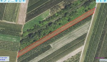 Działka rolna Jachimowice