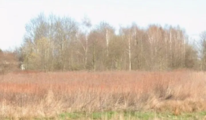 Działka budowlana Łoziska, ul. Fabryczna