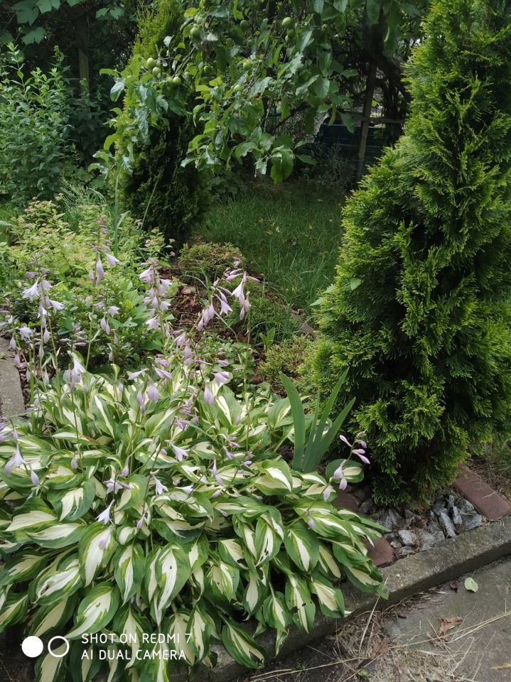 Działka rod Wrocław Fabryczna, ul. Francuska. Zdjęcie 3