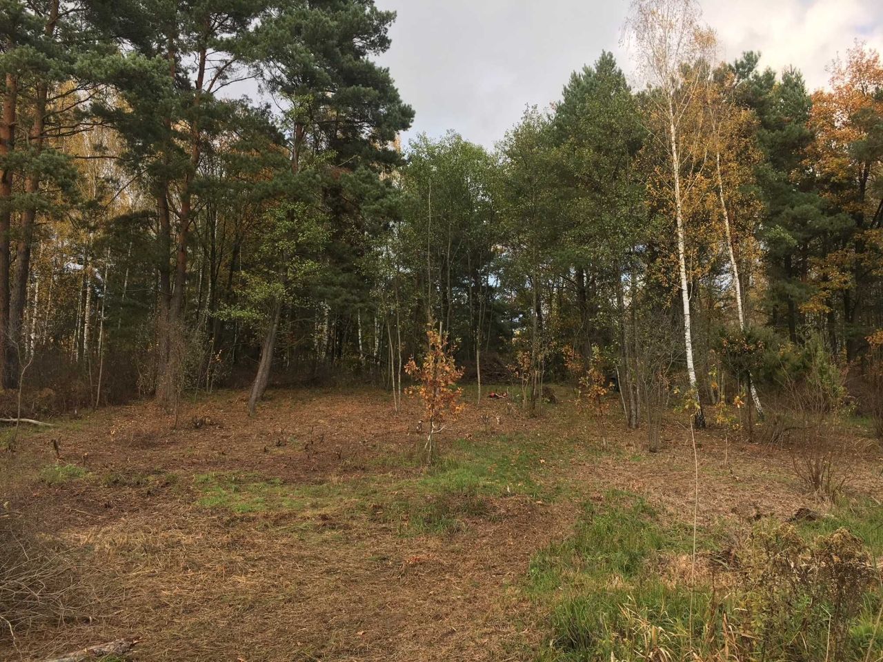 Działka budowlana Osęczyzna