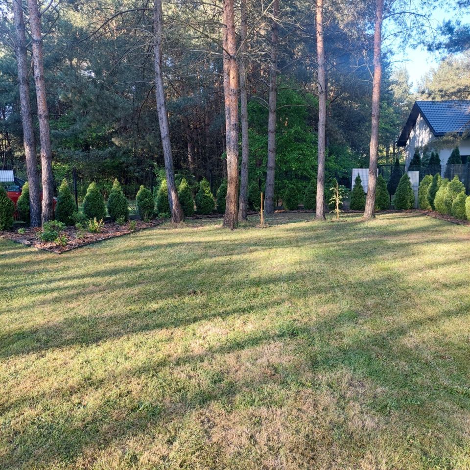 Działka budowlana Mauryców, ul. Sosnowa. Zdjęcie 22