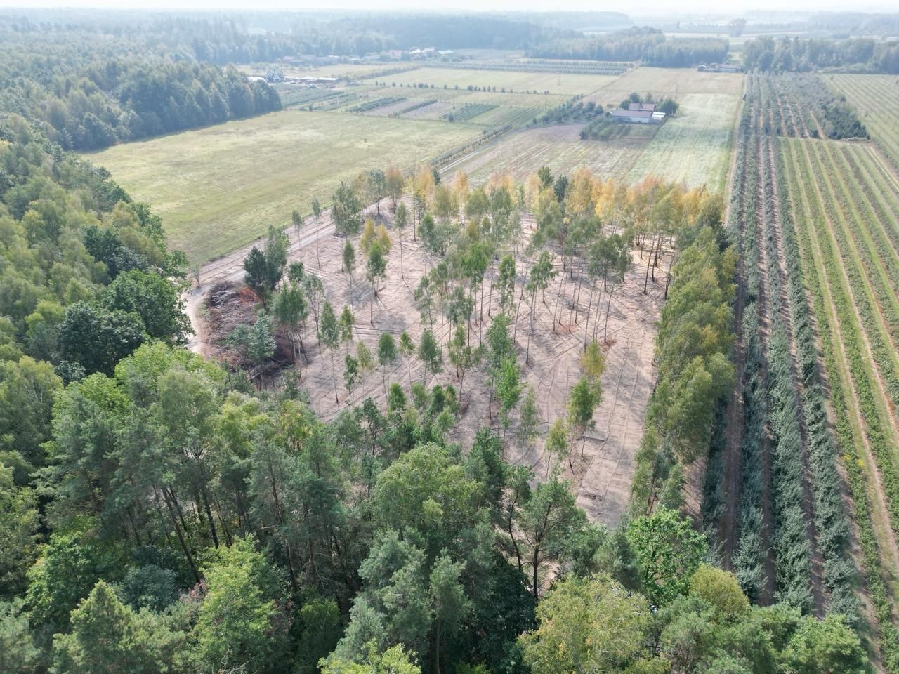 Działka budowlana Zimnice, ul. Janusza Kusocińskiego. Zdjęcie 4