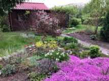 Działka rod Warszawa Wawer, ul. Cyklamenów. Zdjęcie 1