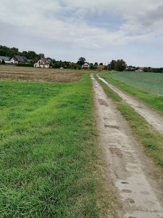 Działka rolno-budowlana Stegna. Zdjęcie 1
