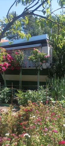 Działka rod Poznań Umultowo. Zdjęcie 1