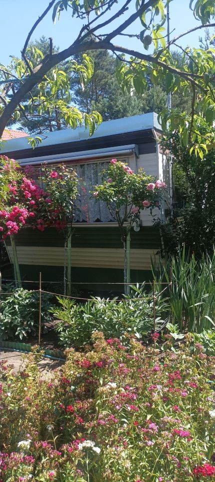 Działka rod Poznań Umultowo