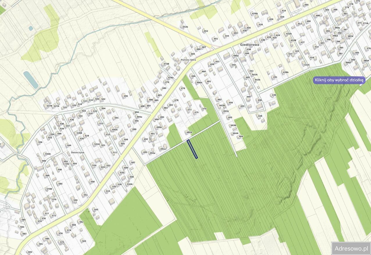 Działka leśna Giedlarowa. Zdjęcie 2