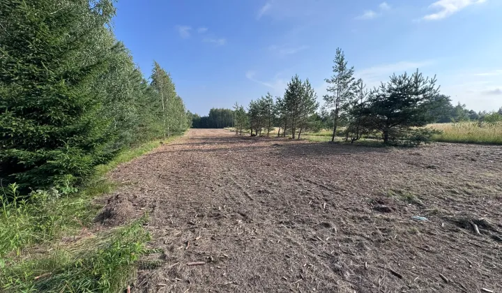 Działka rolno-budowlana Dyminy, ul. Przyłogi