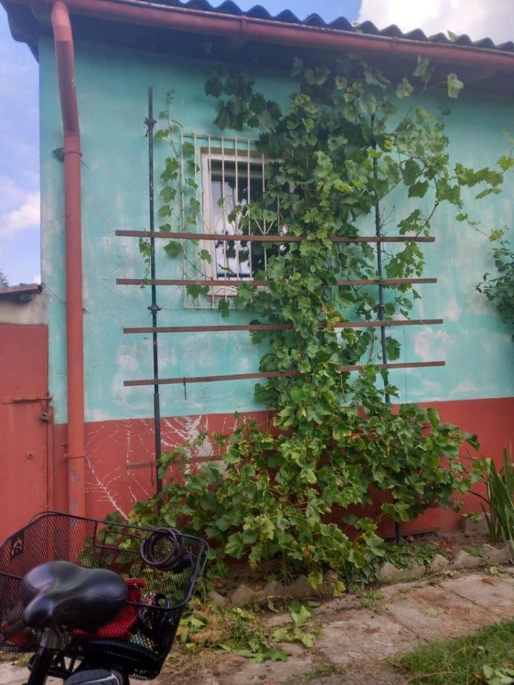 Działka rod Zabrze Rokitnica. Zdjęcie 7