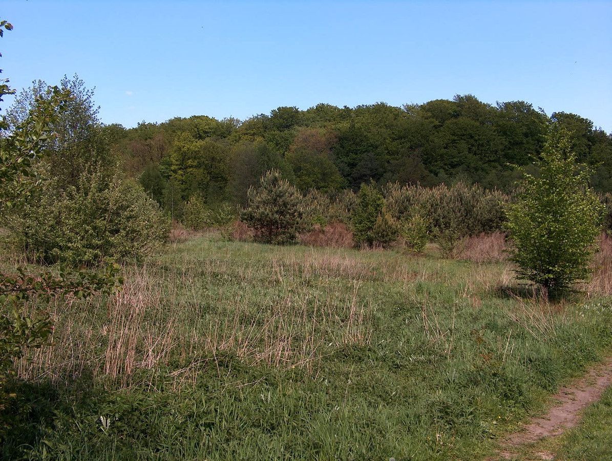 Działka budowlana Włynkówko, ul. Aleja nad Rzeką. Zdjęcie 8