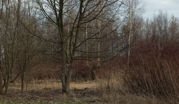 Działka budowlana Mikołów Gniotek, ul. Jana Matejki