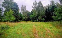 Działka budowlana Firlej, ul. Serocka. Zdjęcie 1