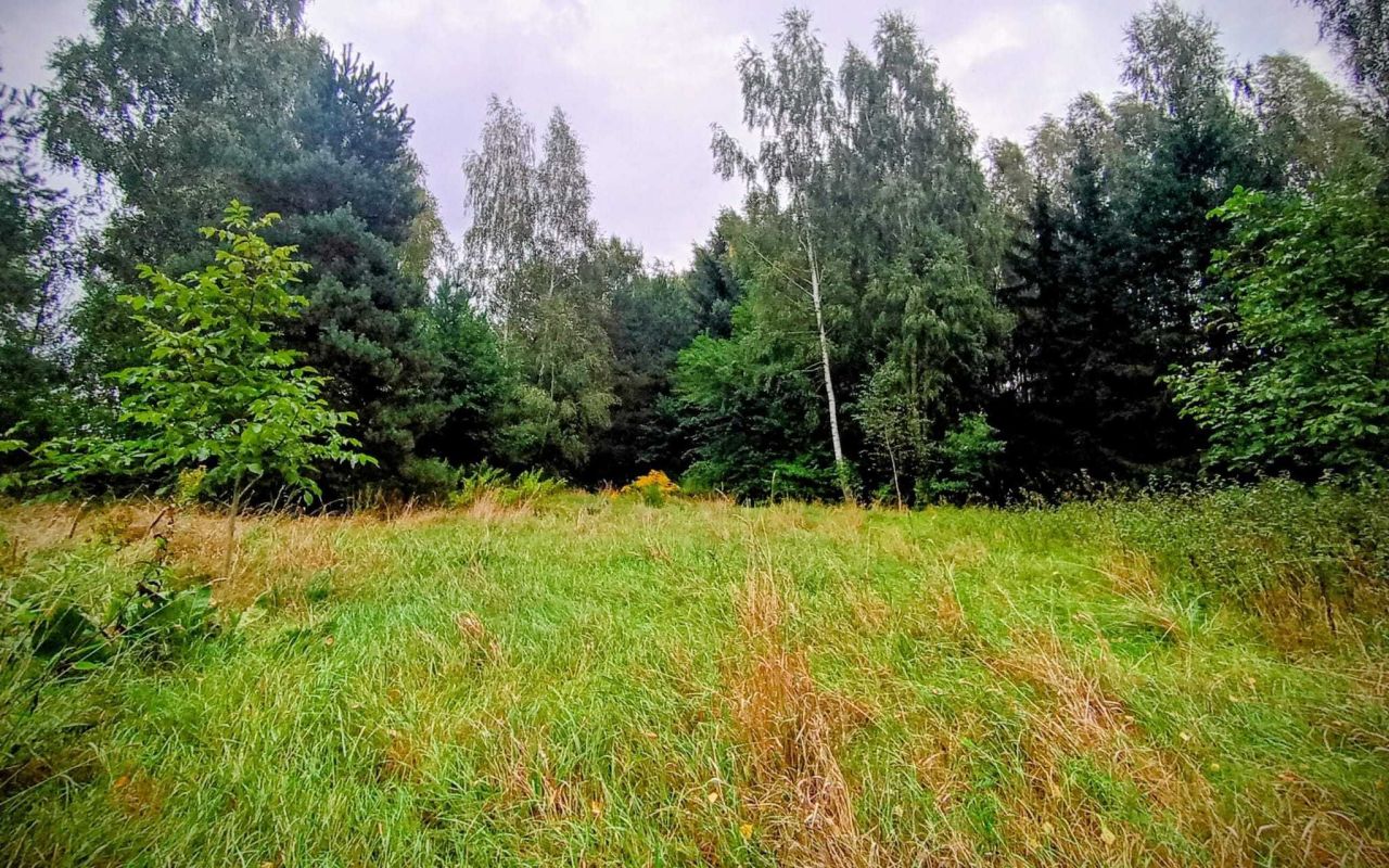 Działka budowlana Firlej, ul. Serocka. Zdjęcie 2