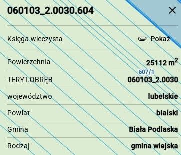 Działka leśna Roskosz. Zdjęcie 1