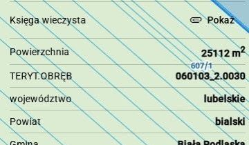 Działka leśna Roskosz