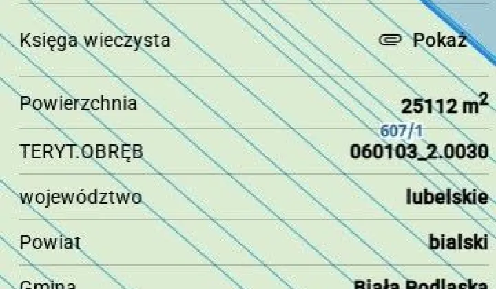 Działka leśna Roskosz