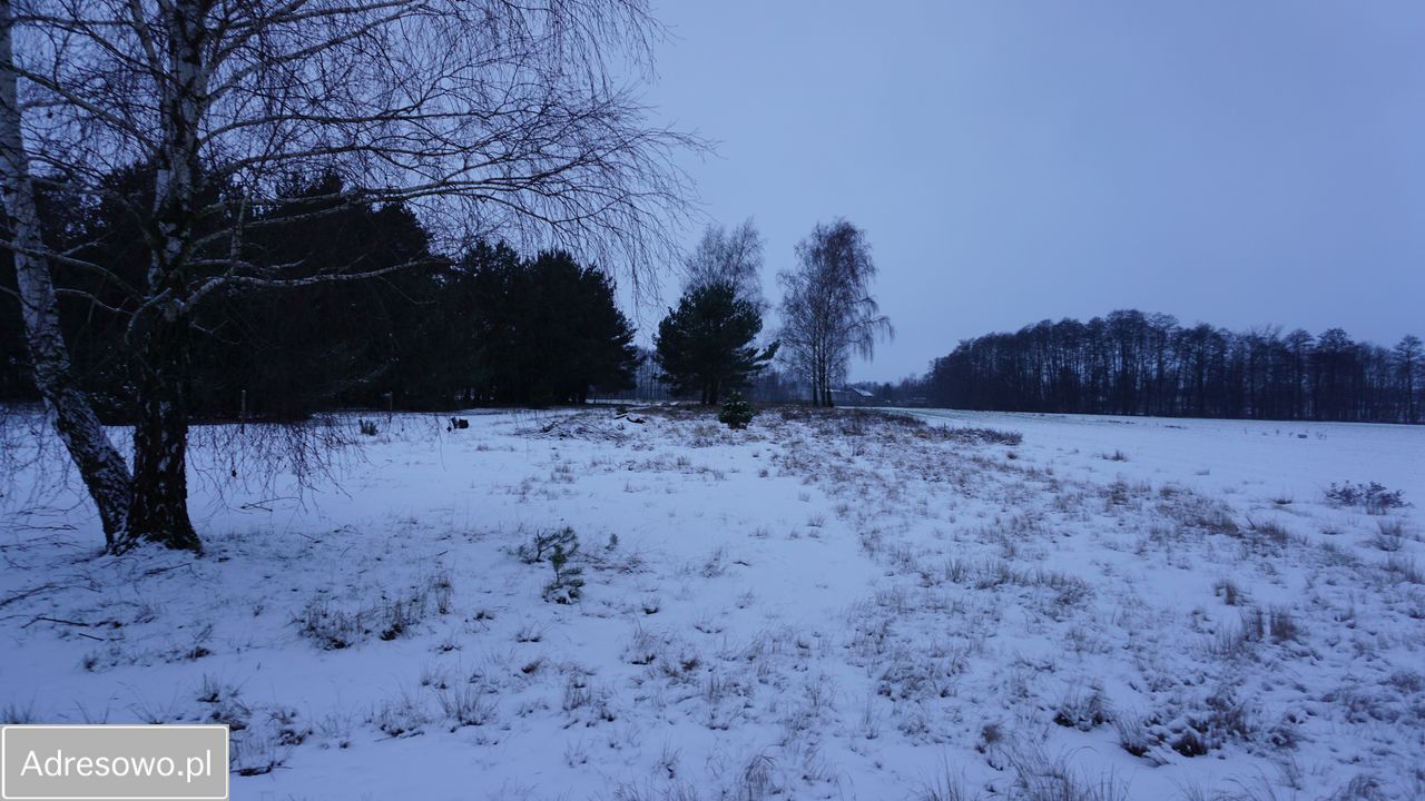 Działka budowlana Barłogi. Zdjęcie 3
