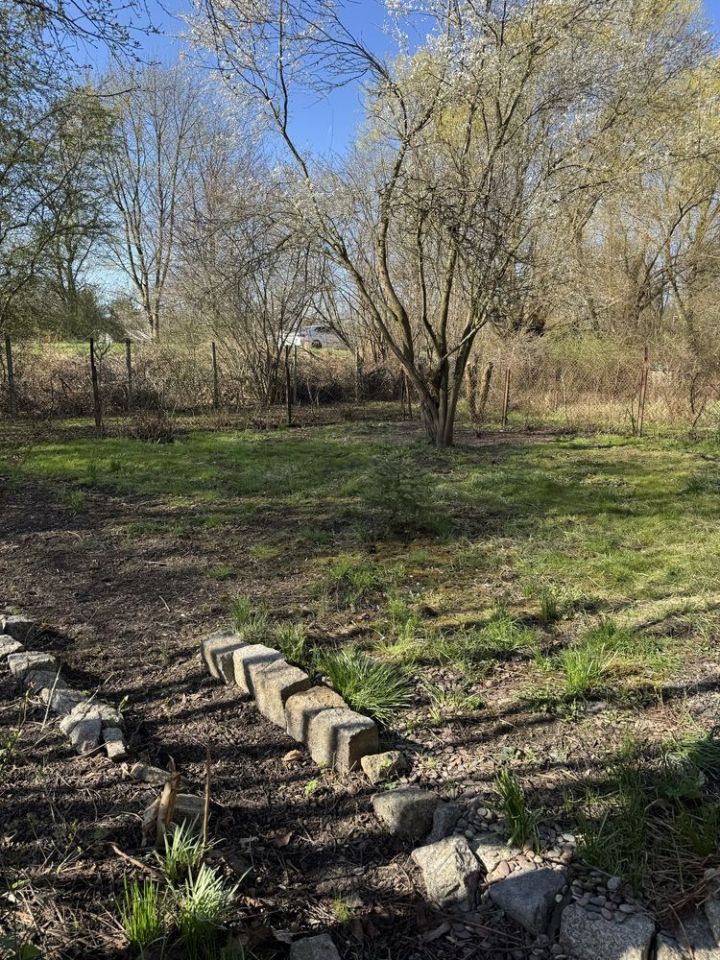 Działka rod Gliwice Śródmieście. Zdjęcie 5