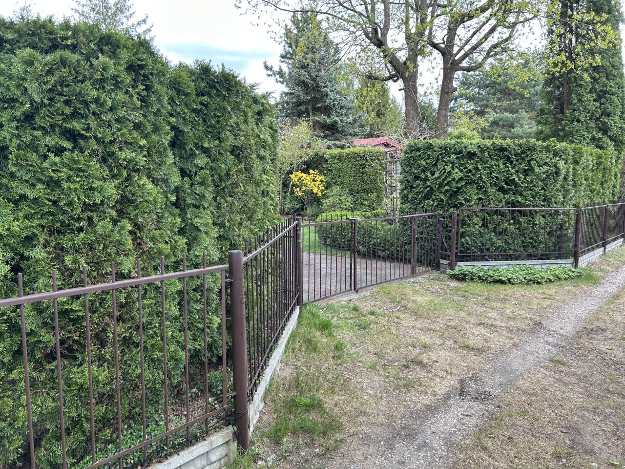 Działka rod Szczaki, ul. Mrokowska. Zdjęcie 16
