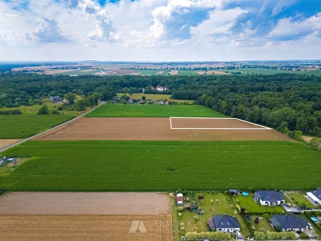 Działka siedliskowa Zachowice. Zdjęcie 5