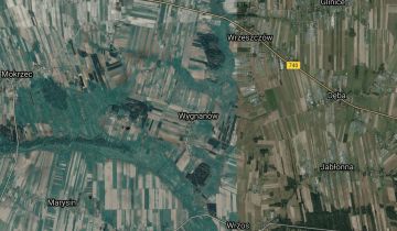 Działka leśna Wygnanów