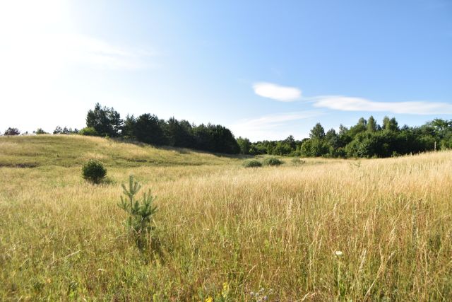 Działka rolno-budowlana Zła Wieś. Zdjęcie 5