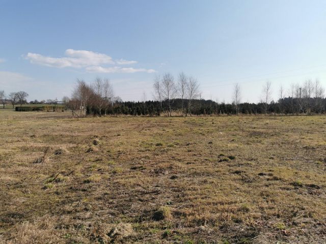 Działka budowlana Tarnówka, ul. Fabryczna. Zdjęcie 12