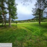 Działka siedliskowa Lipowy Most. Zdjęcie 4