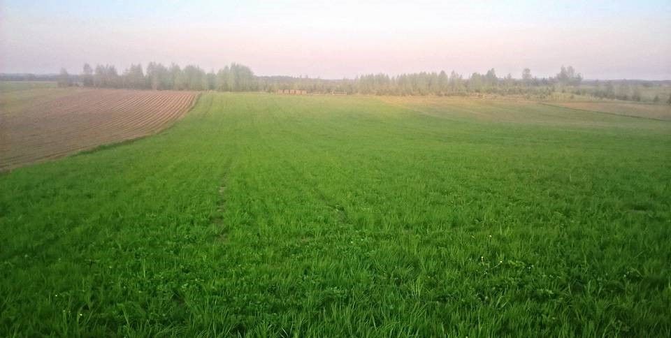 Działka rolna Stare Juchy, ul. Chopina. Zdjęcie 4