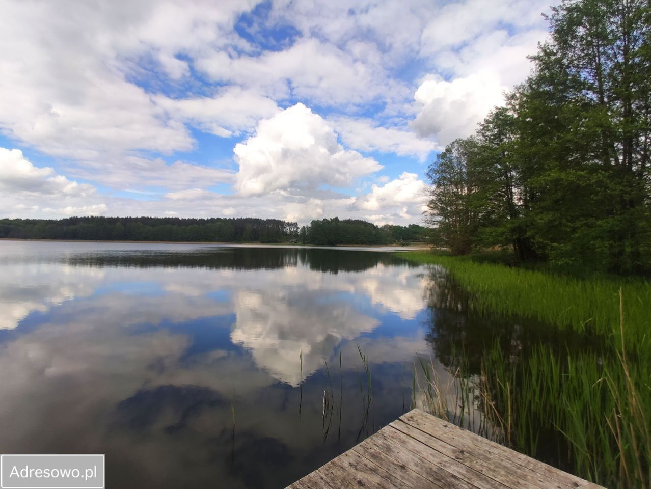 Działka budowlana Łąkie. Zdjęcie 2