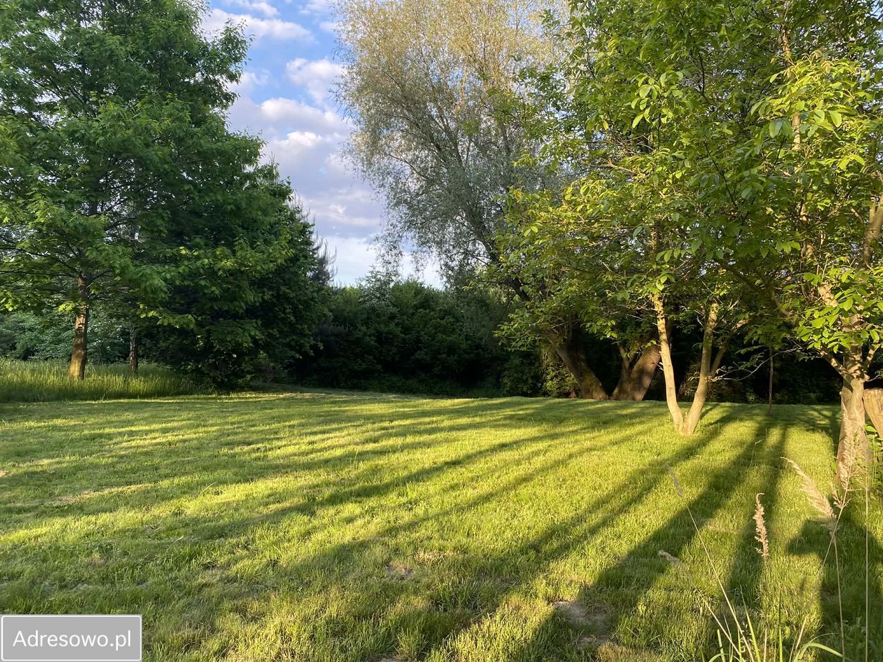 Działka inwestycyjna Grabce-Towarzystwo, ul. Główna. Zdjęcie 6