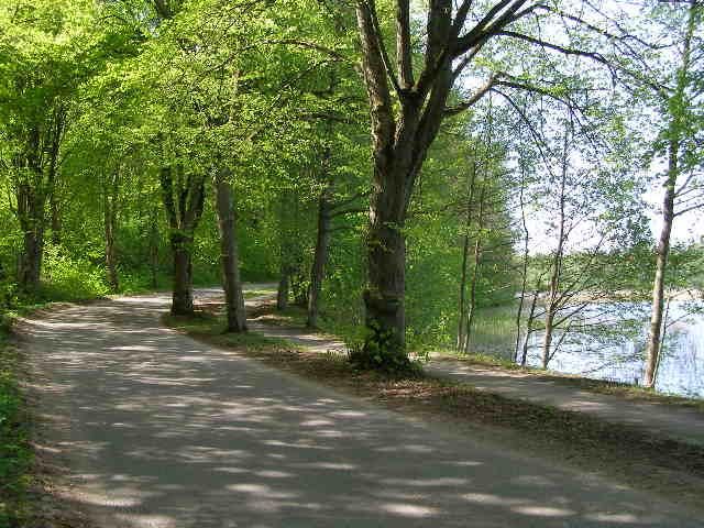 Działka rekreacyjna Stary Gieląd. Zdjęcie 20
