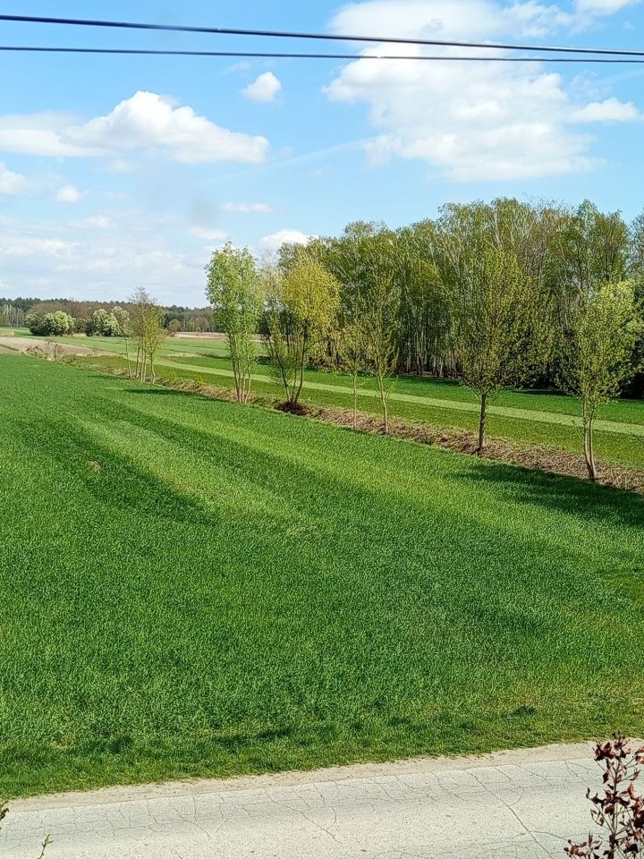 Działka rolno-budowlana Humin. Zdjęcie 3