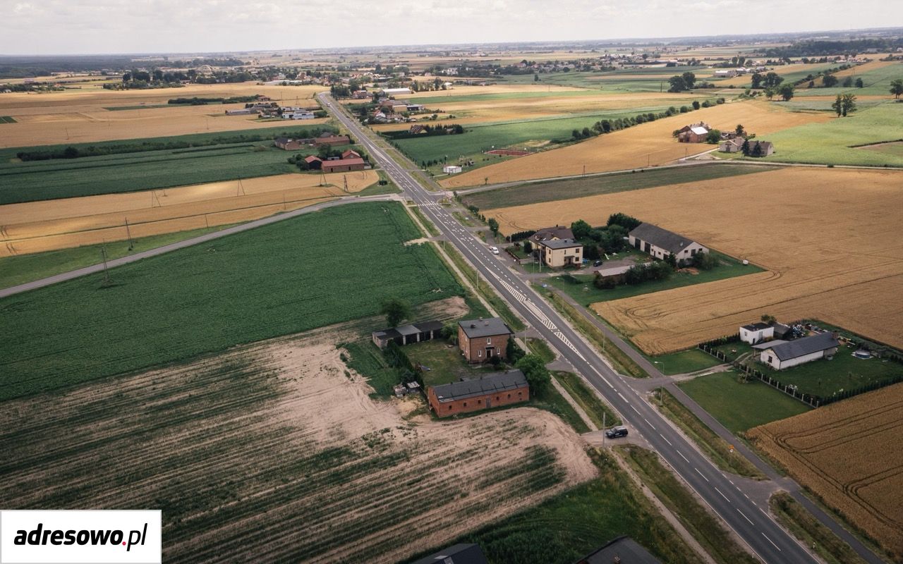 dom wolnostojący, 6 pokoi Kolonia Dębice. Zdjęcie 7