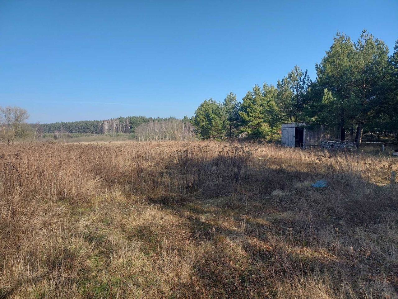 Działka rolno-budowlana Czersk Świecki. Zdjęcie 8