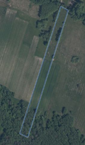 Działka Aleksandria. Zdjęcie 4