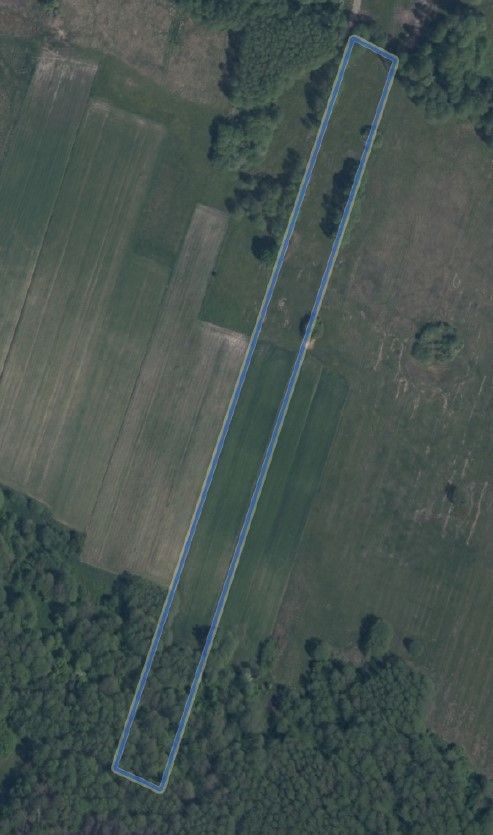 Działka Aleksandria. Zdjęcie 4