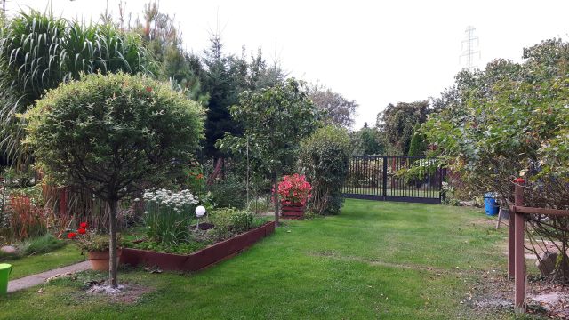 Działka rod Warszawa Mokotów, ul. Dłutowska. Zdjęcie 1