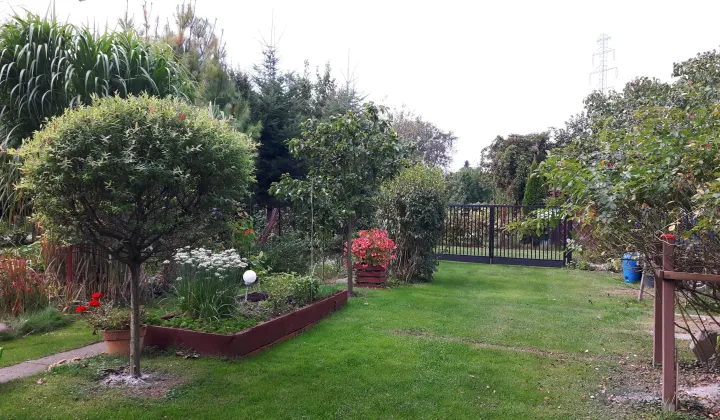 Działka rod Warszawa Mokotów, ul. Dłutowska