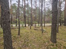 Działka leśna Radzymin Rejentówka, ul. Zygmunta Wróblewskiego. Zdjęcie 2