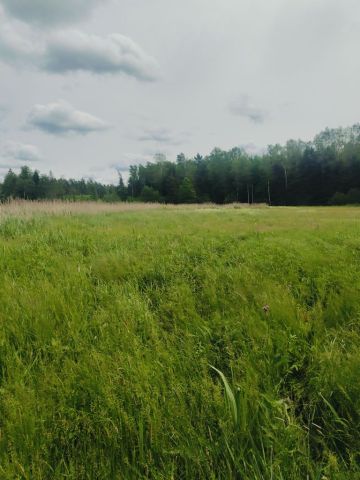 Działka rolna Nowe Trzciano Grodzisko. Zdjęcie 1