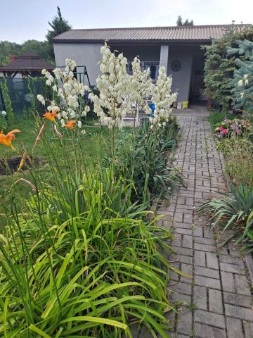 Działka rod Świętochłowice. Zdjęcie 1