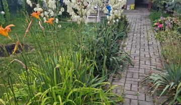 Działka rod Świętochłowice