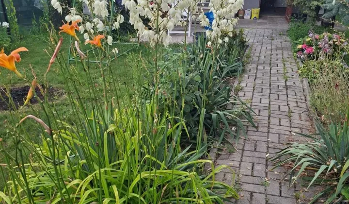 Działka rod Świętochłowice