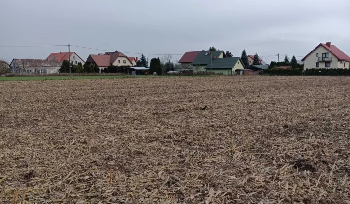 Działka budowlana Sikórz