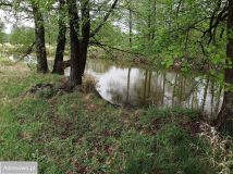 Działka rolna Popiołki. Zdjęcie 1