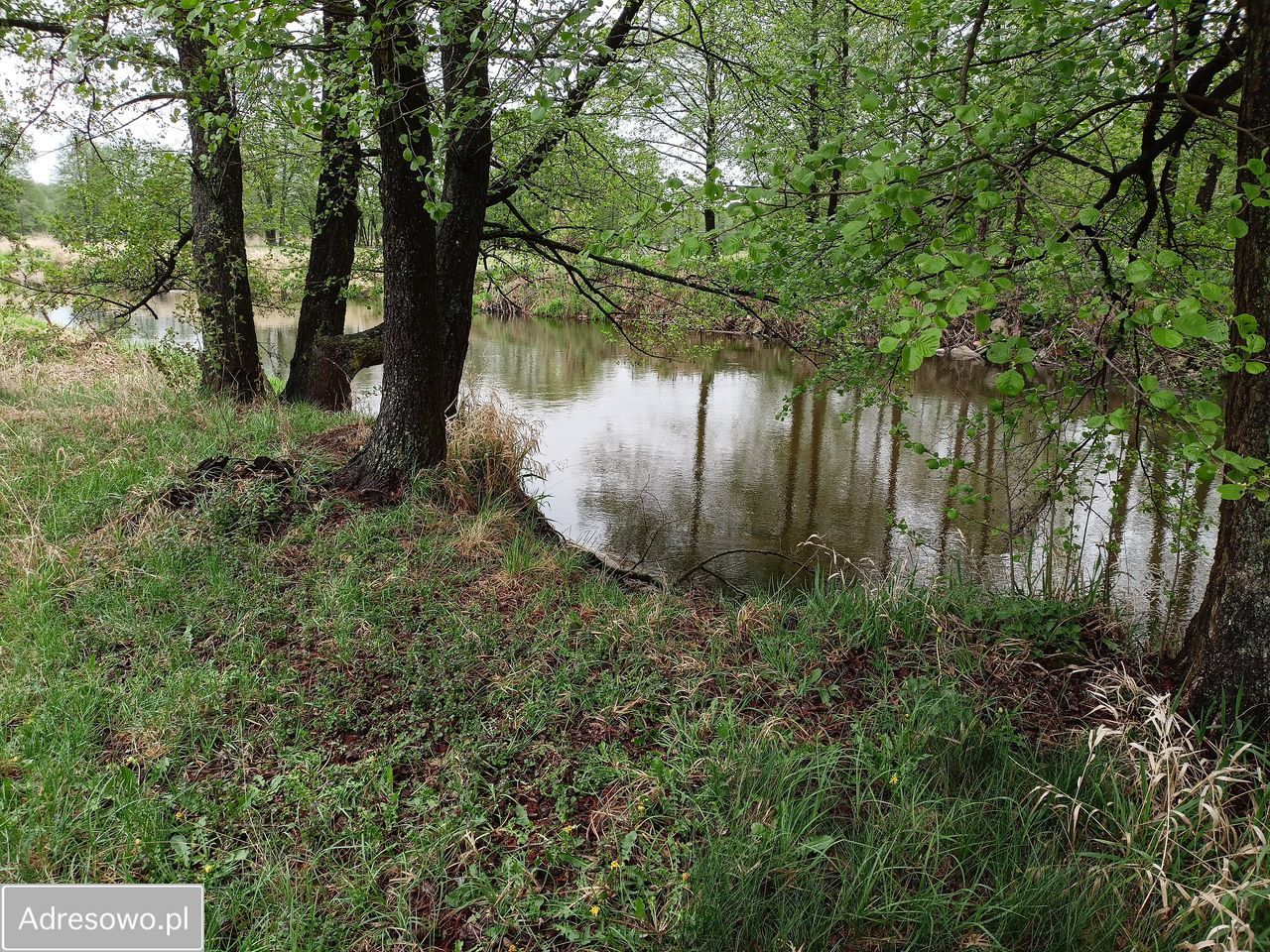 Działka rolna Popiołki. Zdjęcie 2