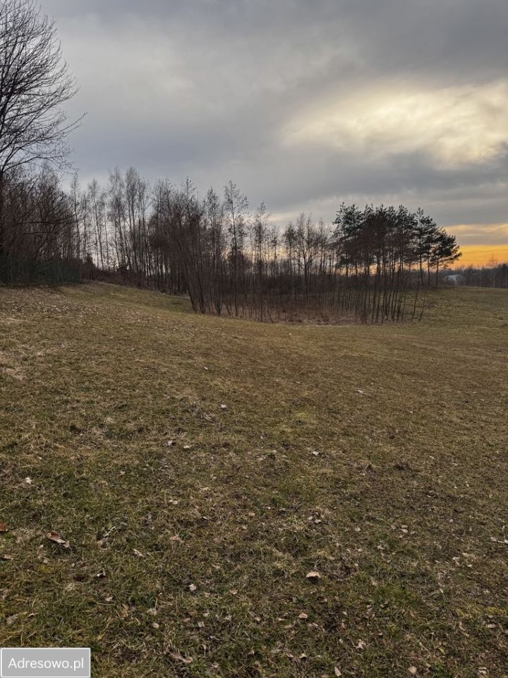 Działka rolno-budowlana Gnojnik. Zdjęcie 13