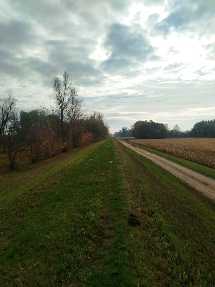 gospodarstwo Kępa Karolińska. Zdjęcie 8