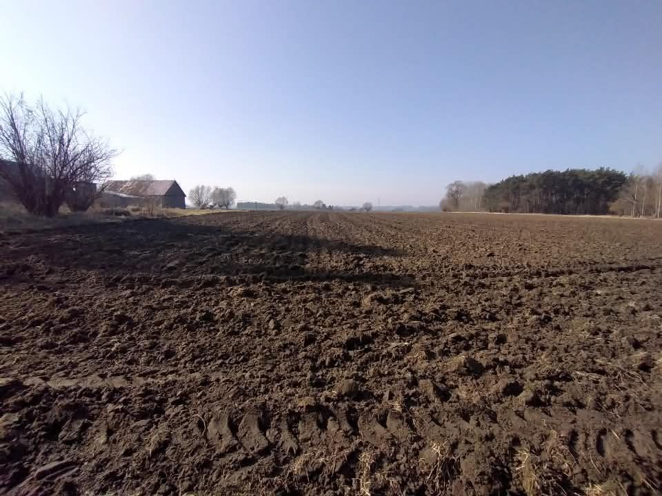 gospodarstwo Tryl. Zdjęcie 8